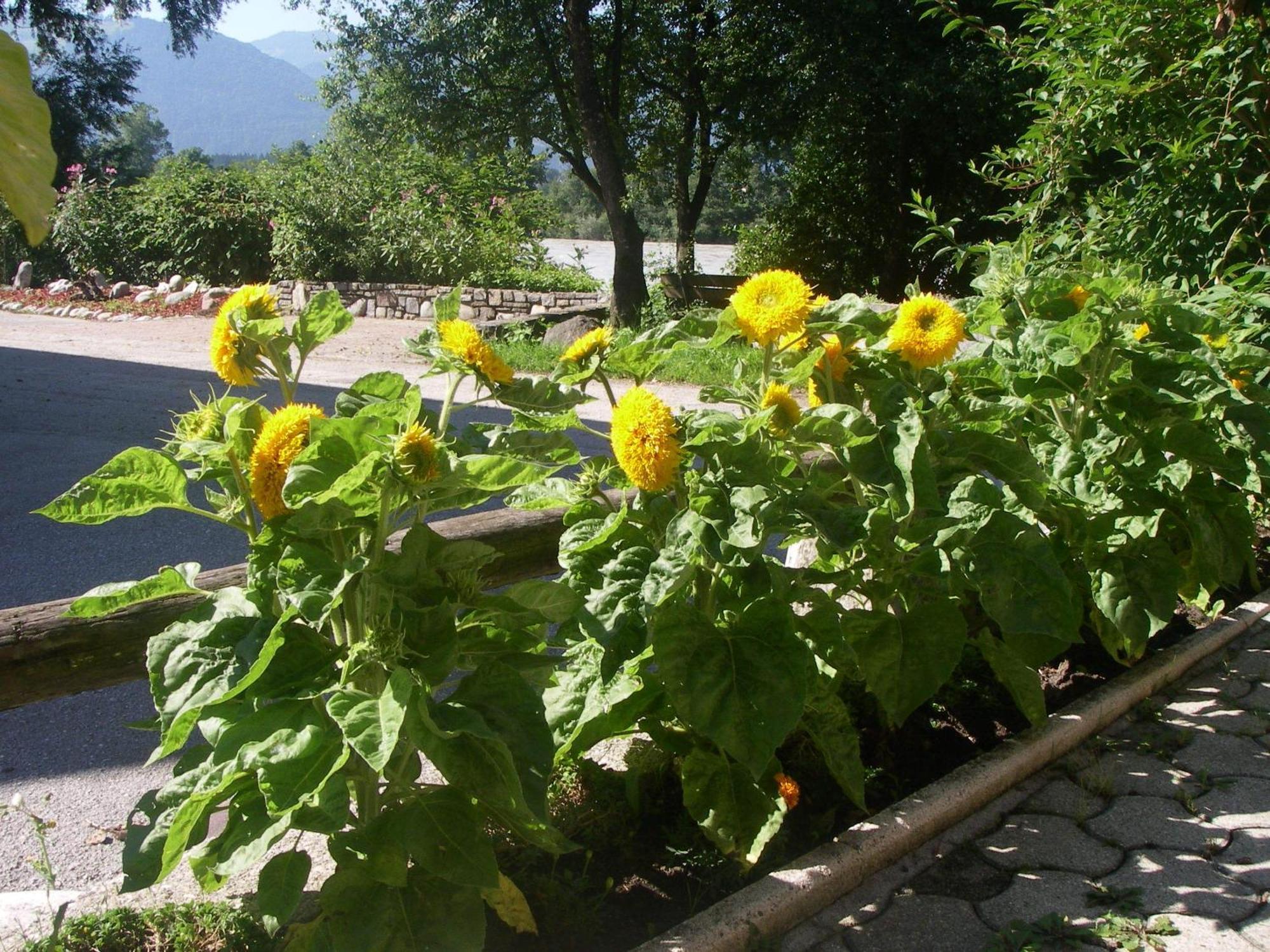 Haus Schoen Weberhof เคียร์ชบิเคิล ภายนอก รูปภาพ